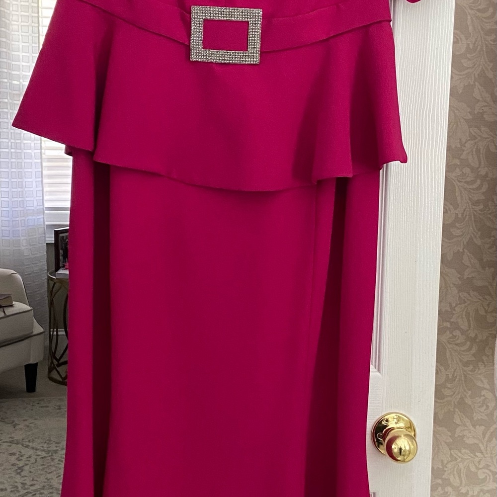 Alexander Daymor evening gown...MOTHER OF THE BRIDE! Worn once! - Picture 6 of 11